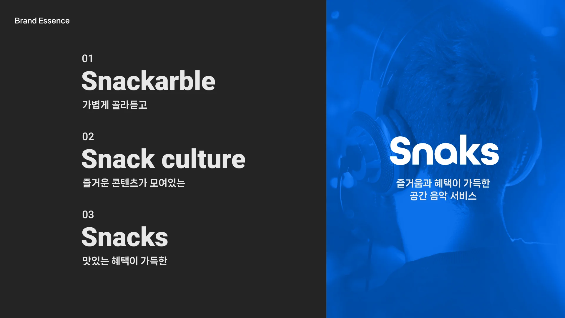 Snaks 1